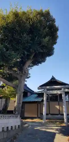 女體神社の鳥居