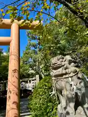 堀越神社(大阪府)