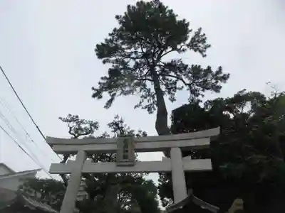 菊田神社(千葉県)