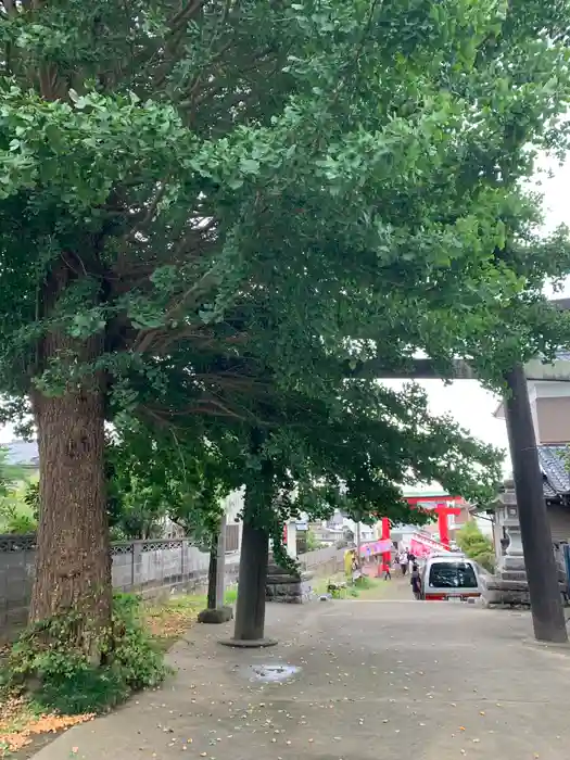 愛宕花園神社の鳥居