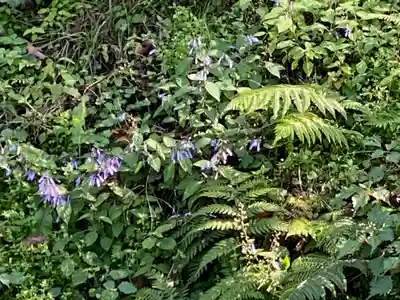 文保寺(兵庫県)