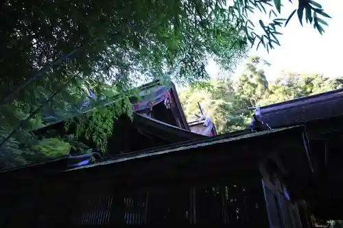 美保神社の本殿・本堂