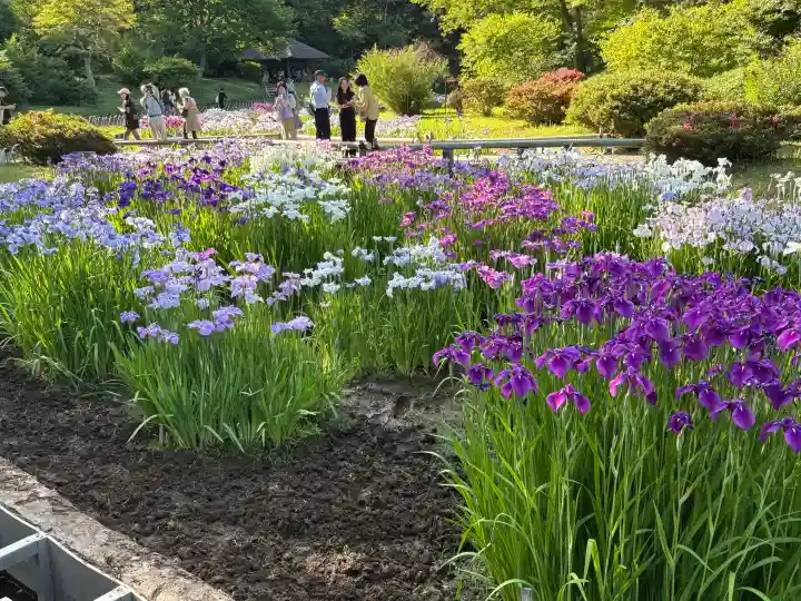 明治神宮(東京都)
