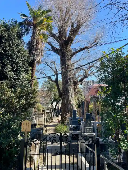 幸國寺の{uncategorized: "未分類", other: "その他", undefined: "問題あり", building: "その他建物", grave: "お墓", sacred_gate: "鳥居", guardian: "狛犬", statue: "像", buddha: "仏像", history: "歴史", nature: "自然", garden: "庭園", animal: "動物", pagoda: "塔", temizu: "手水舎", mountain_gate: "山門・神門", sanctuary: "本殿・本堂", subordinate: "末社・摂社", art: "芸術", scenery: "景色", jizo: "地蔵", ema: "絵馬", goshuin: "御朱印", omikuji: "おみくじ", items: "授与品その他", amulet: "お守り", goshuincho: "御朱印帳", eats: "食事", festival: "お祭り", votive_dance: "神楽", shichigosan: "七五三参", wedding: "結婚式", experience: "体験その他", initially: "初詣", around: "周辺", anti_infection: "感染症対策"}