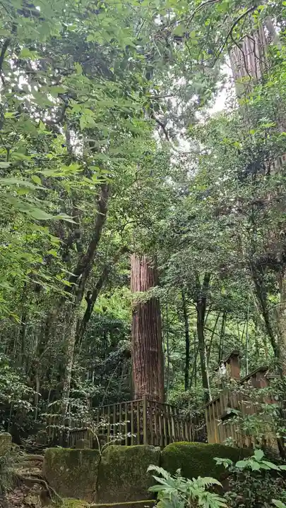 八重垣神社(島根県)