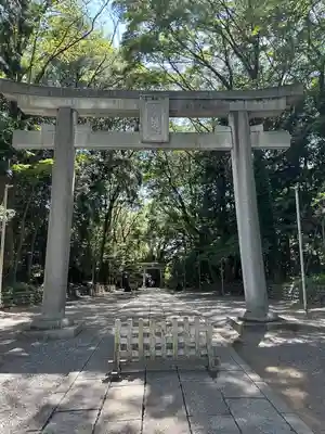 谷保天満宮(東京都)