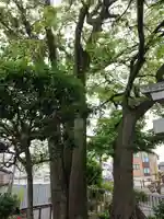 川除稲荷社(神奈川県)