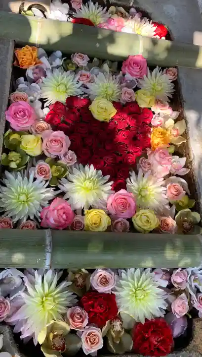 彦島八幡宮の手水舎