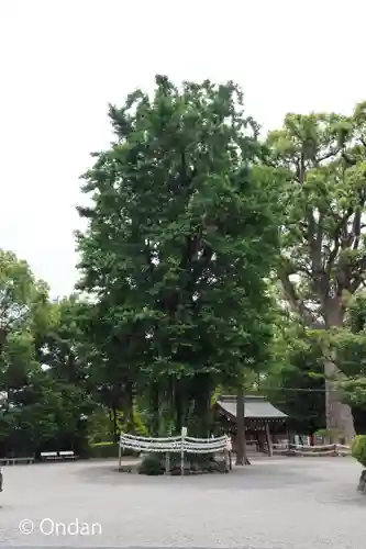健軍神社(熊本県)