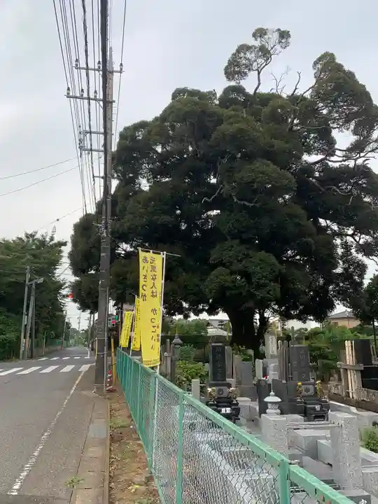 要行寺(千葉県)