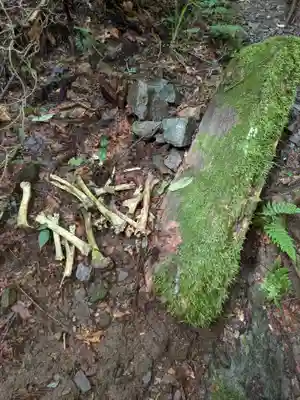 加蘇山神社 奥ノ宮の自然
