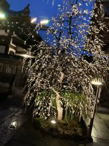 長谷寺の{uncategorized: "未分類", other: "その他", undefined: "問題あり", building: "その他建物", grave: "お墓", sacred_gate: "鳥居", guardian: "狛犬", statue: "像", buddha: "仏像", history: "歴史", nature: "自然", garden: "庭園", animal: "動物", pagoda: "塔", temizu: "手水舎", mountain_gate: "山門・神門", sanctuary: "本殿・本堂", subordinate: "末社・摂社", art: "芸術", scenery: "景色", jizo: "地蔵", ema: "絵馬", goshuin: "御朱印", omikuji: "おみくじ", items: "授与品その他", amulet: "お守り", goshuincho: "御朱印帳", eats: "食事", festival: "お祭り", votive_dance: "神楽", shichigosan: "七五三参", wedding: "結婚式", experience: "体験その他", initially: "初詣", around: "周辺", anti_infection: "感染症対策"}