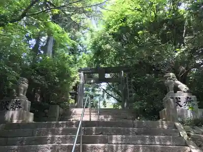 筑紫神社(福岡県)
