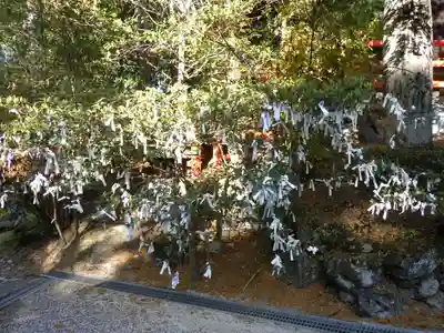 八大神社のおみくじ
