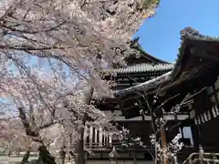 立本寺(京都府)