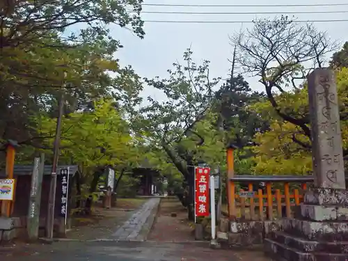 国分寺の建物その他