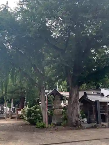 法音寺(山形県)