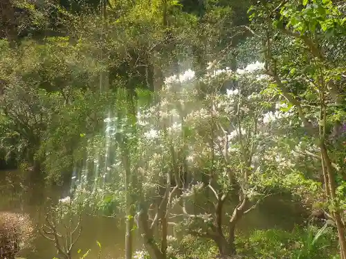 光則寺の庭園