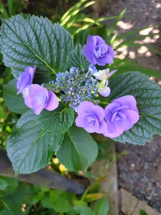 円覚寺(神奈川県)
