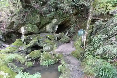 石山寺の自然