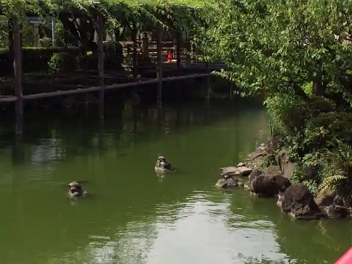 亀戸天神社(東京都)