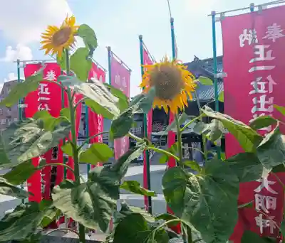 成田山川越別院(埼玉県)