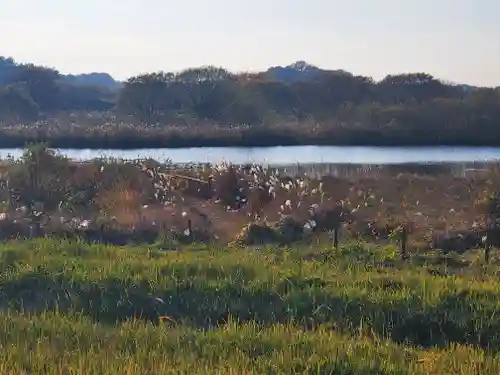 妙音寺(茨城県)