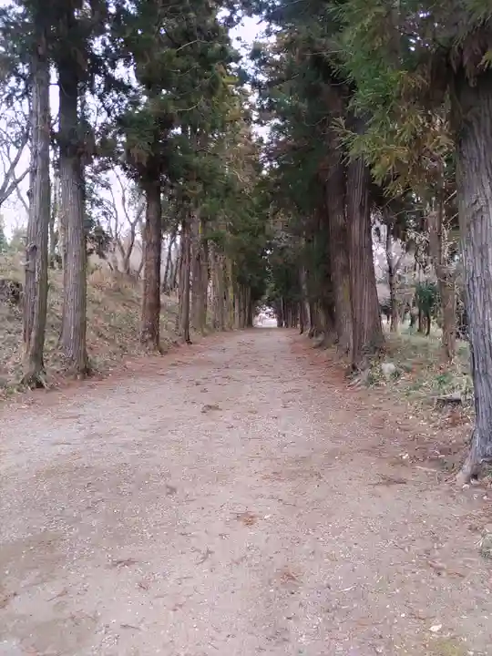 千代ケ岡八幡宮(栃木県)