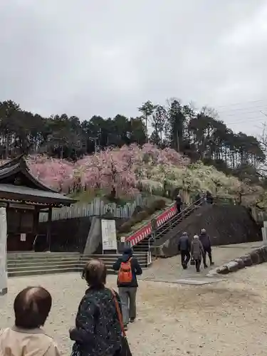 大縣神社の庭園