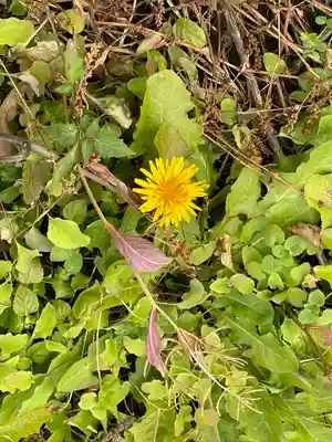 丹生都比売神社(和歌山県)