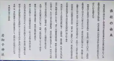 秩父若御子神社(埼玉県)