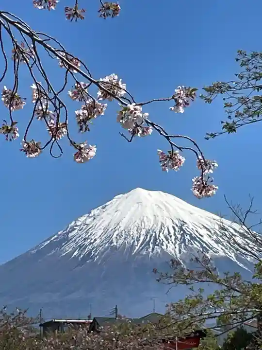 富士山本宮浅間大社(静岡県)