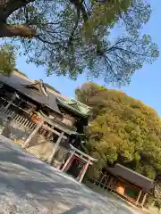 甲宗八幡宮(福岡県)