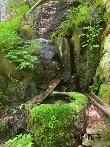 阿弥陀寺(長野県)