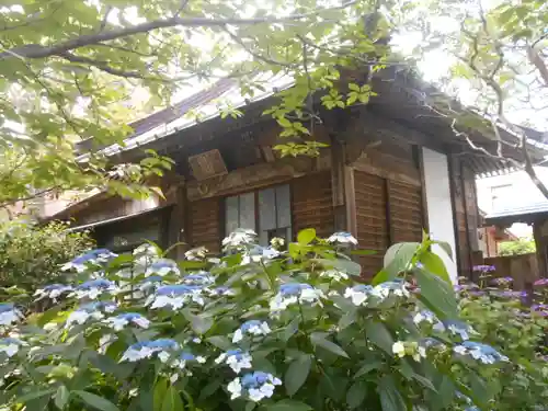 極楽寺（霊鷲山感應院極楽律寺）の庭園