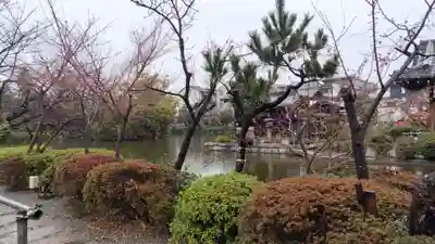神泉苑(京都府)