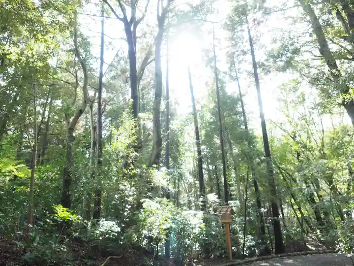 倭姫宮(皇大神宮別宮)の自然