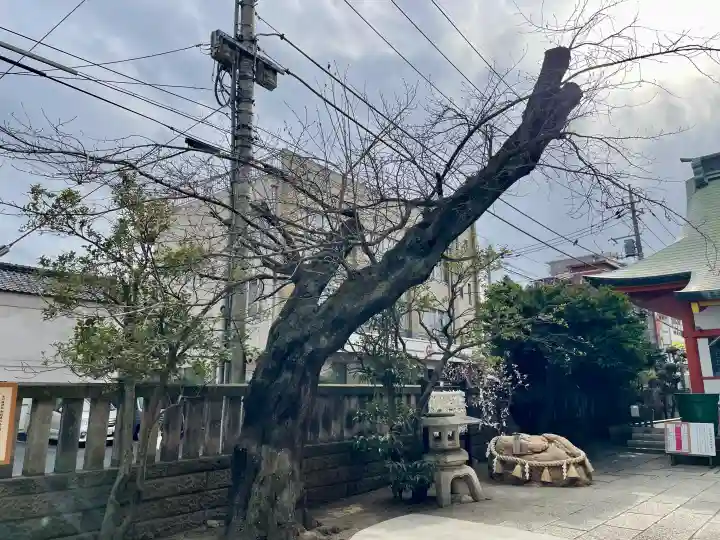 氷川鍬神社の{uncategorized: "未分類", other: "その他", undefined: "問題あり", building: "その他建物", grave: "お墓", sacred_gate: "鳥居", guardian: "狛犬", statue: "像", buddha: "仏像", history: "歴史", nature: "自然", garden: "庭園", animal: "動物", pagoda: "塔", temizu: "手水舎", mountain_gate: "山門・神門", sanctuary: "本殿・本堂", subordinate: "末社・摂社", art: "芸術", scenery: "景色", jizo: "地蔵", ema: "絵馬", goshuin: "御朱印", omikuji: "おみくじ", items: "授与品その他", amulet: "お守り", goshuincho: "御朱印帳", eats: "食事", festival: "お祭り", votive_dance: "神楽", shichigosan: "七五三参", wedding: "結婚式", experience: "体験その他", initially: "初詣", around: "周辺", anti_infection: "感染症対策"}