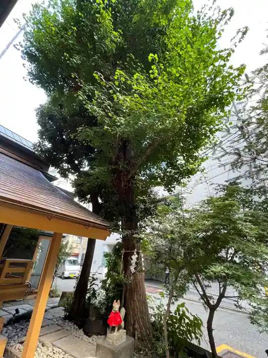五十稲荷神社(栄寿稲荷神社)の自然