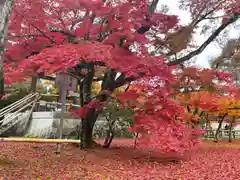 鹿苑寺（金閣寺）(京都府)