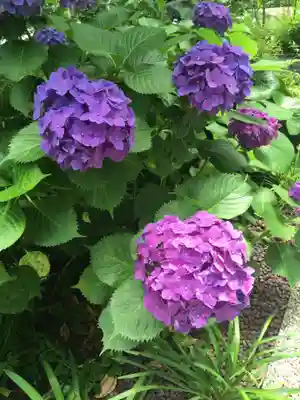 葺城稲荷神社の自然