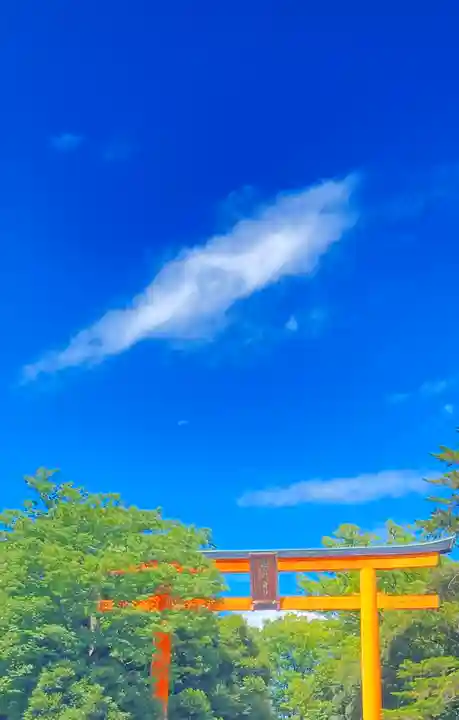 川越氷川神社(埼玉県)