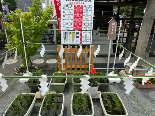亀戸浅間神社(東京都)