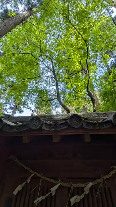意太神社(滋賀県)