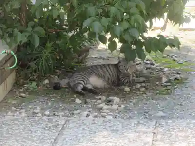 回向院(東京都)