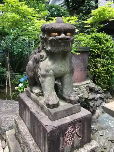 白山神社の狛犬