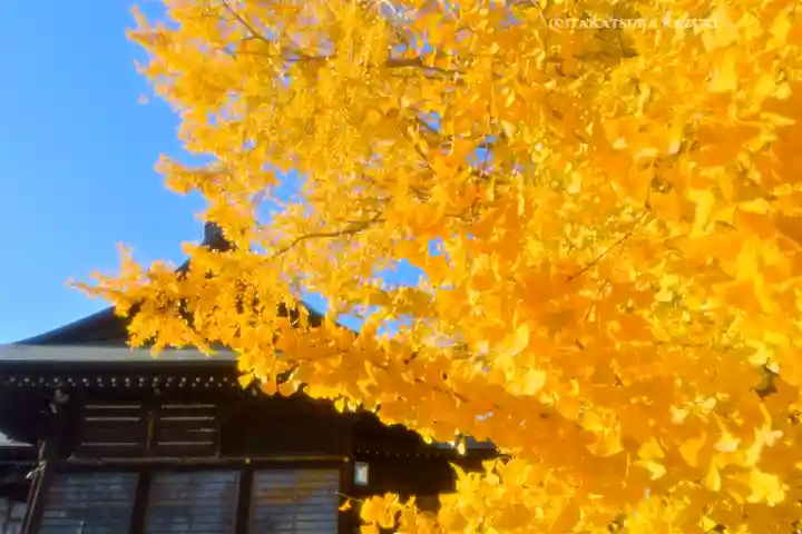 葛飾八幡宮(千葉県)