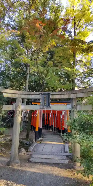 御霊神社(上御霊神社)(京都府)