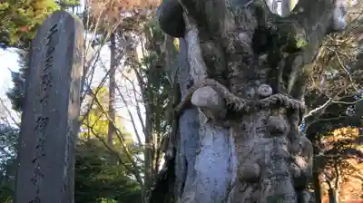 鵜川神社のその他建物