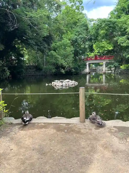 武蔵一宮氷川神社(埼玉県)